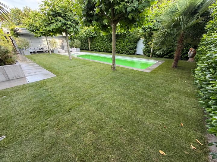 Neu verlegter Rollrasen mit Pool